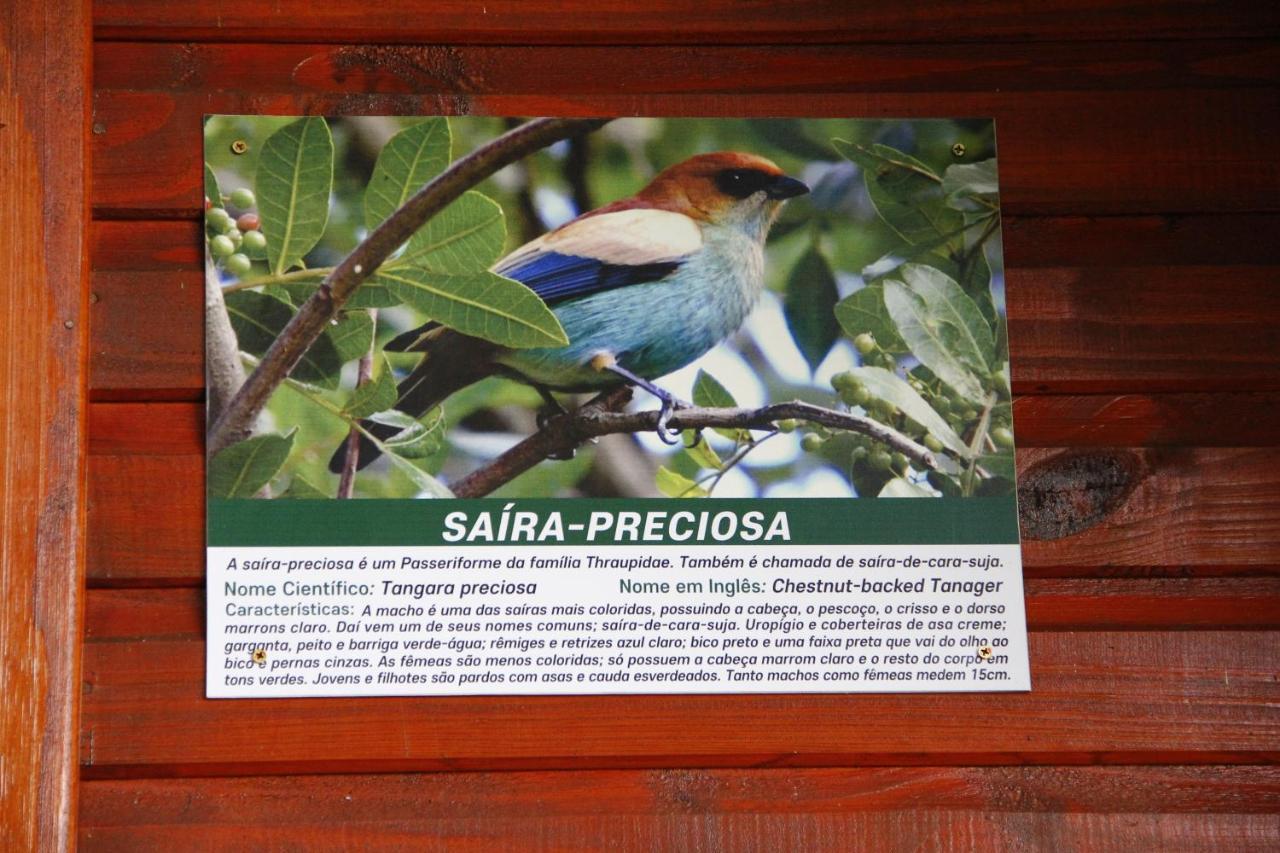 Recanto Da Mata Pousada São Francisco de Paula Exterior foto